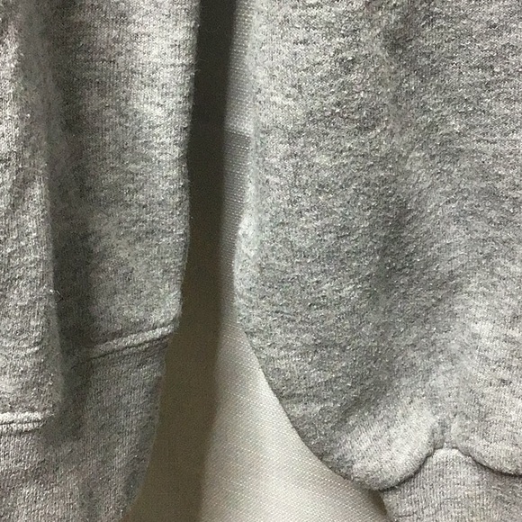 Champion University of Chicago Hoodie - Picture 6 of 11